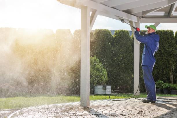 Best Animal Enclosure Cleaning  in Edwardsburg, MI