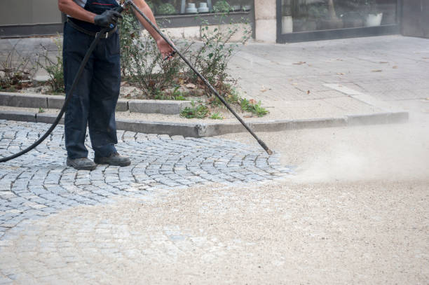 Best Pre-Holiday Cleaning  in Edwardsburg, MI