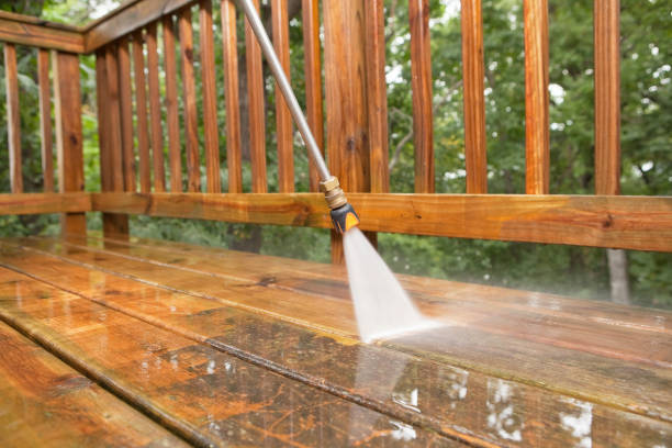 Best Dumpster Area Cleaning  in Edwardsburg, MI